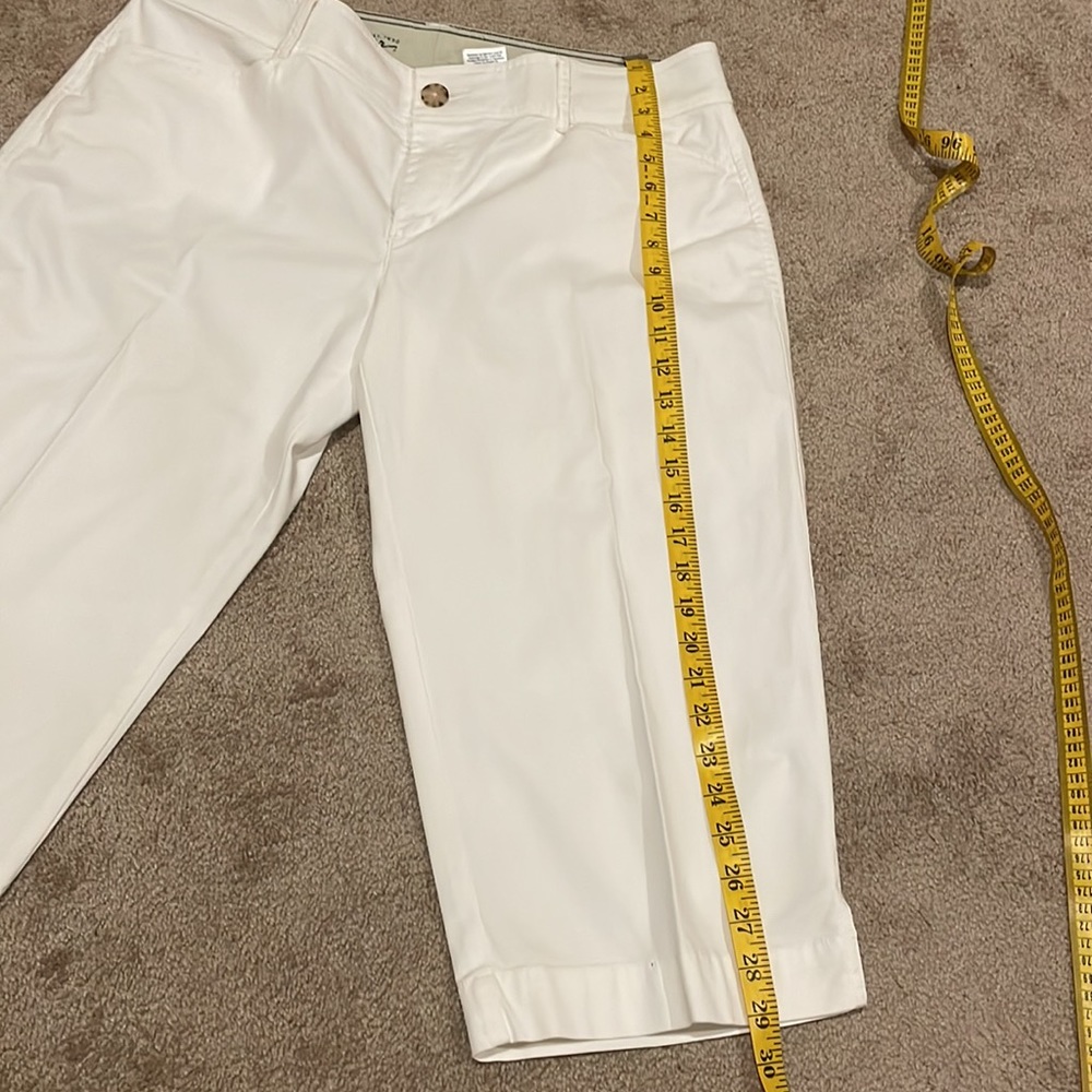 Very stylish capris! - Picture 4 of 5